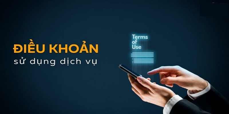 Chi tiết các điều khoản được hệ thống đưa ra